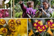 Jardín Botánico se viste de orquídeas: Bogotá brillará con exposición