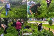 Ciudad Bolívar florece con la Huerta María Cano y su poder comunitario