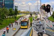 Mascotas no sufrirán en la Ciclovía de Bogotá: Distrito les arregla el paseo