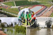 Parque Timiza estrena 95 árboles: así reverdece el sur de Bogotá