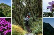 Sendero Las Moyas: precios, rutas y todo para disfrutar este tesoro natural