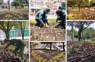 Siete nuevas maravillas florales le cambian la cara al sur de Bogotá