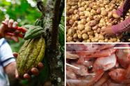Precios en Corabastos hoy 2 de octubre de 2025: alimentos que más bajaron este jueves