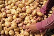 Precios en Corabastos este 9 de octubre 2025 alimentos que más bajaron HOY