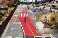 Aparece oso de anteojos con su cría en Bogotá su camino marcó huella