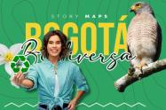 Bogotá Biodiversa aterriza: la ruta que revela los tesoros verdes de la ciudad