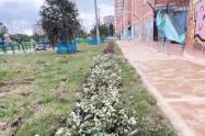 Bogotá estrena Ecobarrio la comunidad transforma su forma de vivir