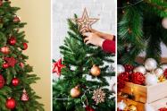 ¿Cuándo poner el árbol de Navidad? Inicie con todo el espíritu festivo