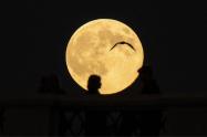 Prepárese para la Superluna de noviembre: dónde y cuándo verla