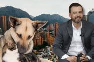 Usme: localidad del sur de Bogotá que encabezó la protección animal