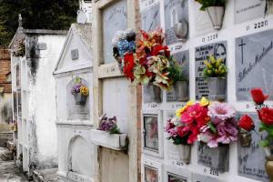 Madre abortó a criaturita de seis meses y lo abandonó en un cementerio