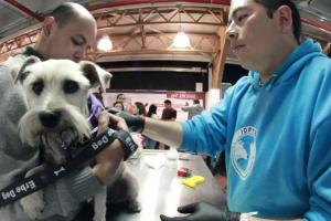 Campaña del Instituto de Protección Animal de Bogotá