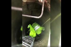 Rescate de perro en alcantarilla