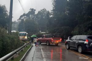 Caída de un árbol en La Calera 