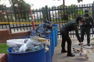 Hallan animales muertos 