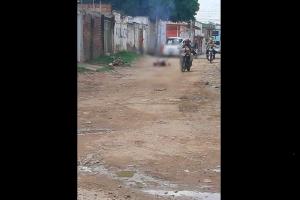 Perro incinerado
