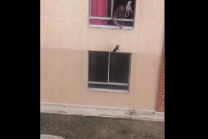 Sujeto ata a perro del cuello para sacarlo a pasear