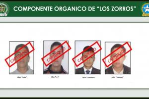 Los Zorros