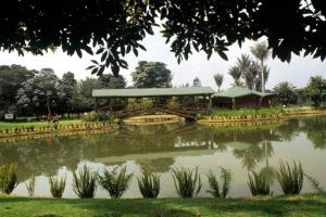 Jardín Botánico celebra 66 años de creación 