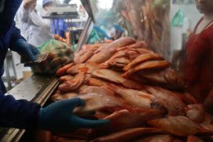 Compra de pescado 