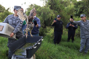 Liberación de animales silvestres en Bogotá