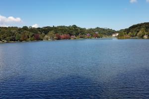 Lago 