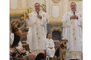 Sacerdote rescata perros, los baña y los da en adopción en plena misa