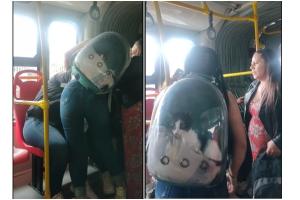 Mujeres se pelean por una silla en Transmilenio