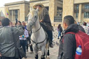 Senador lleva caballo al Senado de la República