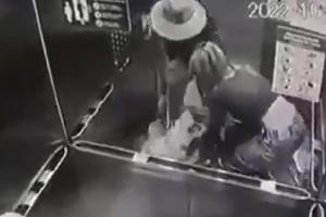 Agarrón de perros y sus dueños
