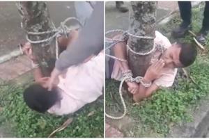 Ladrón fue amarrado a un árbol y lo cogieron a calvazos en Ibagué