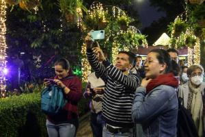 Polinizando, alumbrado en el Jardín Botánico