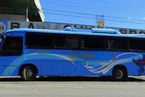Bus - Imagen de referencia 