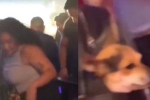 Joven no encontró quien le cuidara a su mascota para ir a farrear y le tocó llevarla