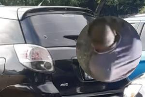 Tremenda 'paloterapia' a ladrón de autopartes: Lo pillaron en plena acción