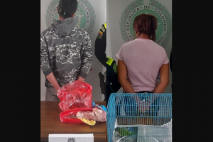 Cerca de 30 personas fueron capturadas transportando carne de animales silvestres en Bogotá 