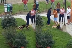 Perro mató a otro can en conjunto en Soacha