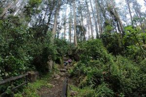 Quebrada La Vieja 