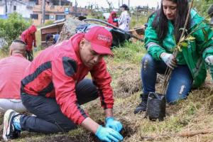 Distrito plantó 200 árboles provenientes de los Cerros Orientales en Chapinero