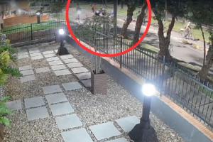 Robo masivo en Bogotá
