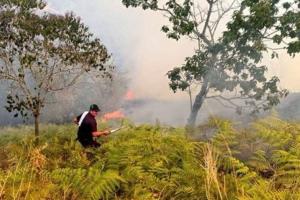 Incendios forestales en Cundinamarca l Clima | Ola de calor | Gobernación | Septiembre 2024