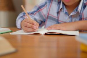 Chía aprueba educación para niños