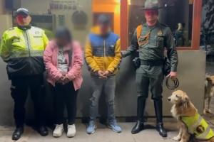 Captura papás | Bogotá | Noviembre 2024