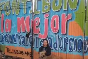 Galán desaloja fundación de animales en Fontibón: ciudadanos forman pelea