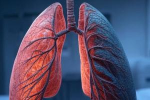 Pulmones (referencia)