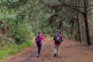 Sedero para visitar en Bogotá GRATIS: así puede agendar su visita
