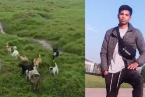 Joven atacado por perros en Bogotá pide ayuda migratoria: “No tengo pensión ni EPS"  