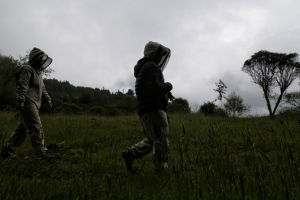 Subida a los cerros de Bogotá podría salirle caro: esto es lo que debe saber para que no la embarre 