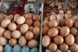 Precios en Corabastos este 15 de julio de 2025: alimentos que más bajaron HOY