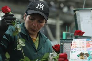 Cambio obligatorio para empresas: empleados saldrán ganando